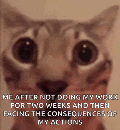 a cat with a caption that says me after not doing my work