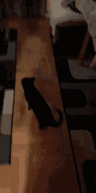 a black cat walking on a wooden floor