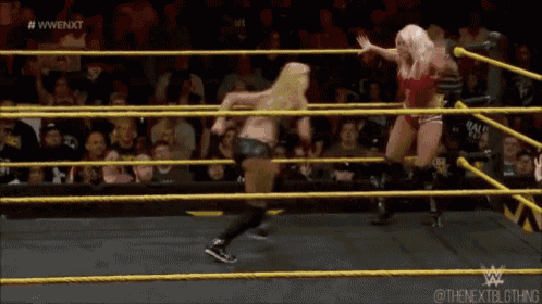 two women are wrestling in a ring with a crowd in the background .