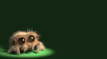 Lucas The Spider Encore GIF - Lucas The Spider Encore Small Spider GIFs