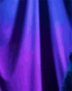 a cookie monster is standing in front of a blue curtain