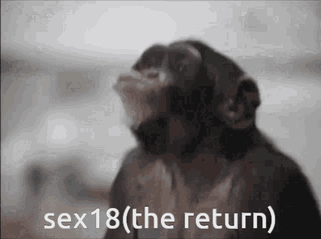 Sex18 Sexy GIF