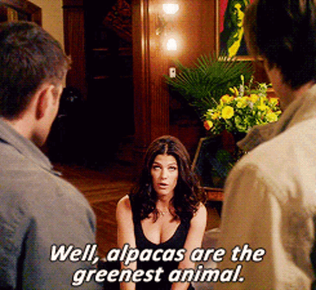 a woman is talking to two men and says well alpacas are the greenest animal ..