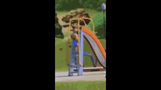 a person is standing on top of a slide in a park .