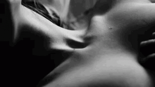 Touch Romantic GIF - Touch Romantic Intimate GIFs