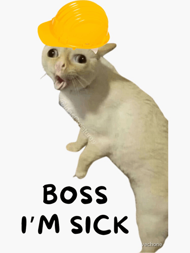 a cat wearing a hard hat with the words boss i 'm sick below it