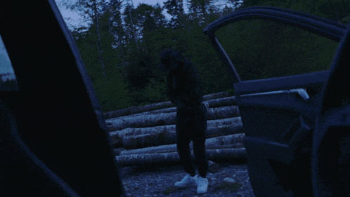 a man in a hooded jacket is standing next to a pile of logs