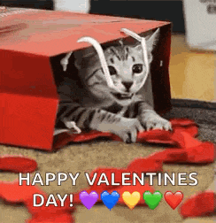 a kitten is sitting in a red bag with hearts on the floor .