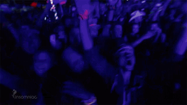 a crowd of people at a concert with their arms in the air and the word insomniac in the corner