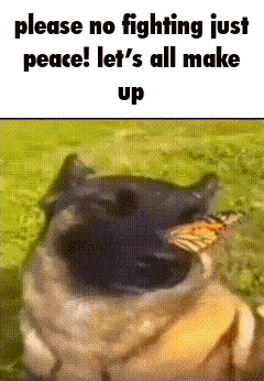 a dog with a butterfly in its mouth says please no fighting just peace let 's all make up .