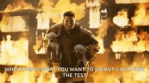 Tim Tebow Dogs GIF - Tim Tebow Dogs Fire GIFs