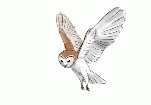 Owl Flying GIF - Owl Flying Fly GIFs