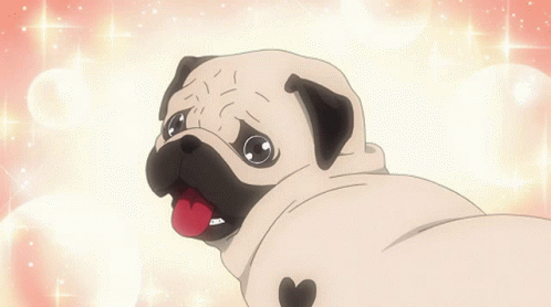 Pug Cute GIF - Pug Cute Panting GIFs