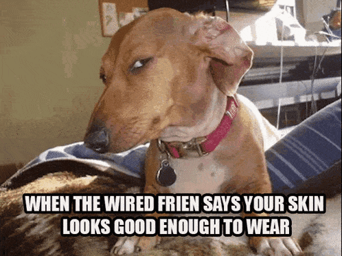 Doggo Weird Frend GIF - Doggo Weird Frend GIFs