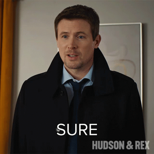 Sure Charlie Hudson GIF - Sure Charlie Hudson Hudson And Rex GIFs