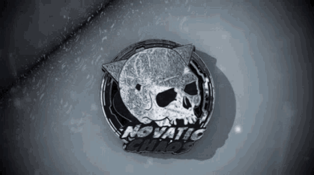 a black and white photo of a skull with the words novatic chaos below it