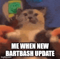 a cat is being held in someone 's arms with the words `` me when new bartbash update '' .