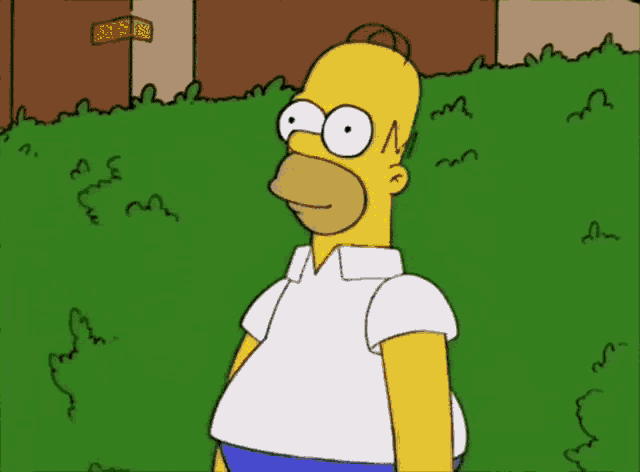 Homer Simpson Bushes GIF - Homer Simpson Bushes Molotov Cocktail GIFs