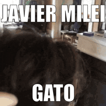 a picture of a cat with the words javier milei gato on it