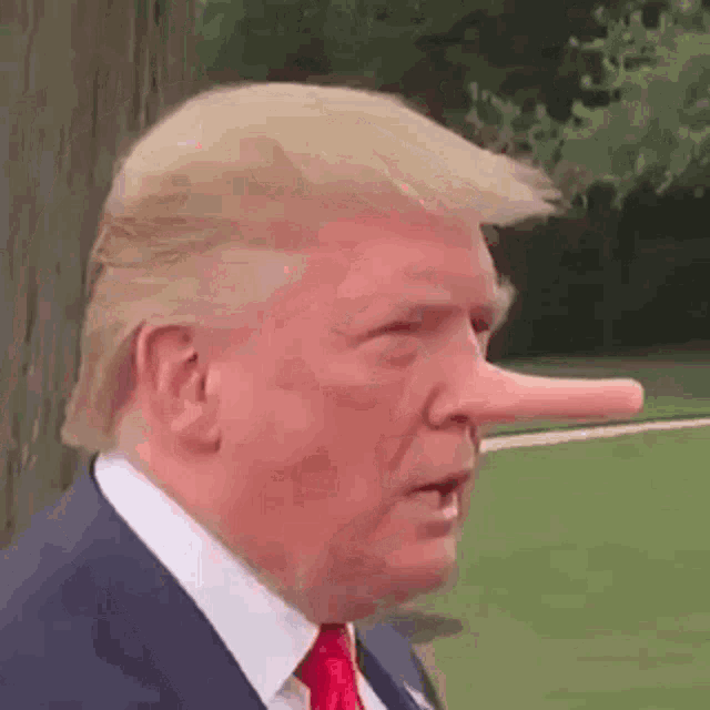 Donald Trump Liar GIF - Donald Trump Liar Nose GIFs
