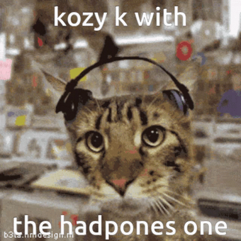 Kozy K Kozy Kondo GIF - Kozy K Kozy Kondo Kozy GIFs
