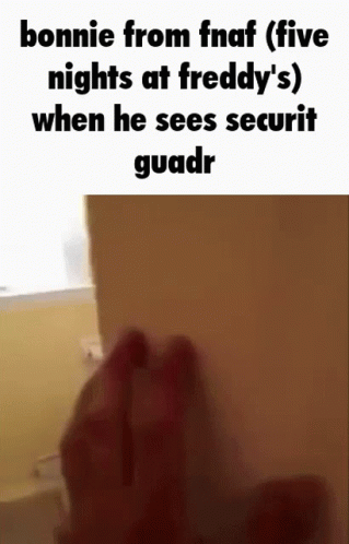 Bonnie When He Sees Security Guard GIF - Bonnie When He Sees Security Guard GIFs