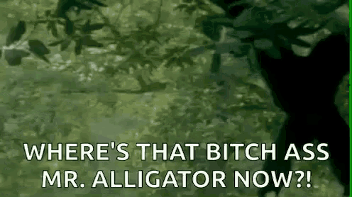 Mr Alligator 5little Monkeys GIF - Mr Alligator 5little Monkeys Monkey GIFs