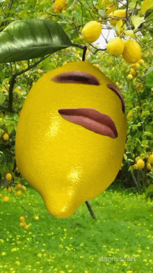 Limone GIF - Limone GIFs