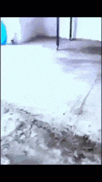 a person standing on a concrete floor with a blue ball in the background