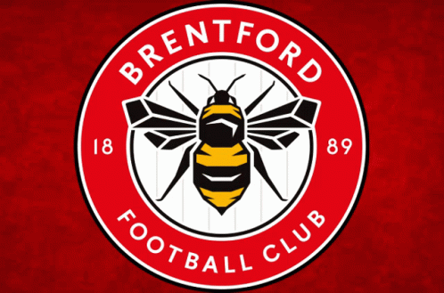 Brentford GIF - Brentford GIFs