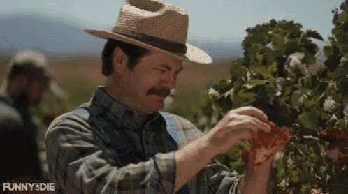 a man in a straw hat is picking a slice of pizza from a vineyard .