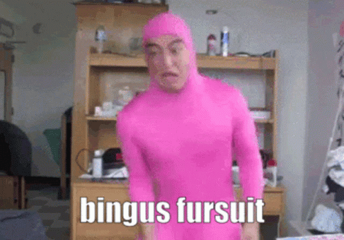 Bingus Fursuit GIF - Bingus Fursuit Cosplay GIFs