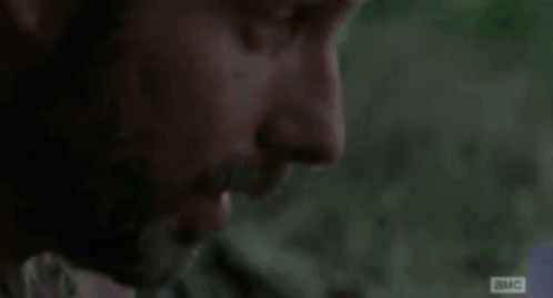 Rickgrimes Twd GIF - Rickgrimes Twd How Many Walkers Have You Killed GIFs