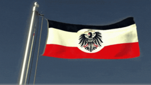 a red white and black flag with an eagle in the center