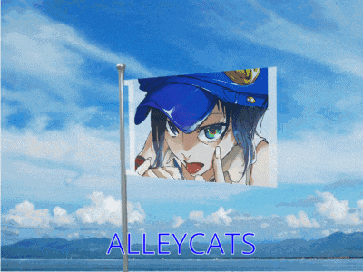 an alleycats flag with a picture of a girl in a police uniform