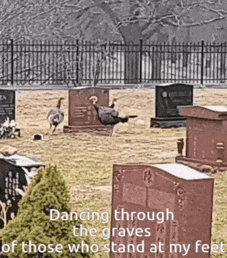 Dancing Through The Graves Of Those Who Stand At My Feet GIF - Dancing Through The Graves Of Those Who Stand At My Feet GIFs