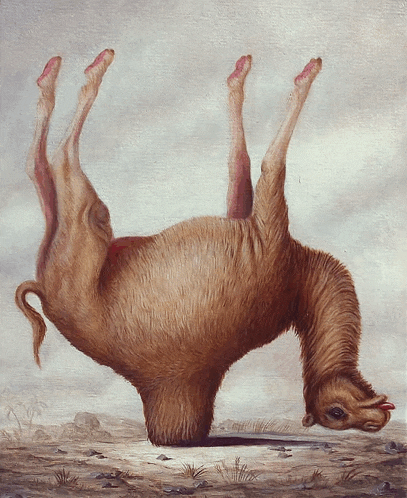 a painting of a camel doing a handstand on its back