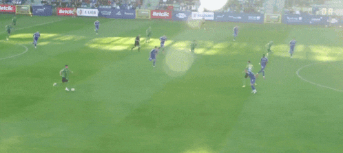 a soccer goal with a sign that says suzuki