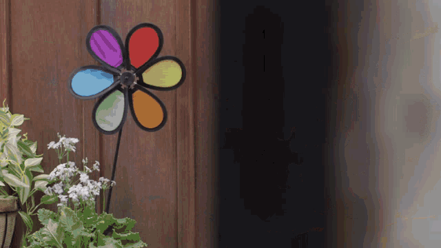 a flower with a rainbow colored center is sitting next to a plant