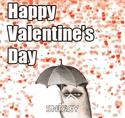Antisocial Cat GIF - Antisocial Cat Valentinesday GIFs
