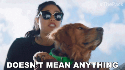 Doesnt Mean Anything The Pack GIF - Doesnt Mean Anything The Pack It Makes No Sense GIFs