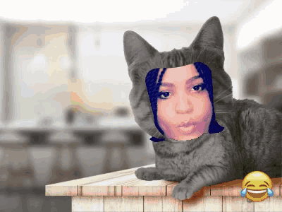 a cat with a picture of a woman on it