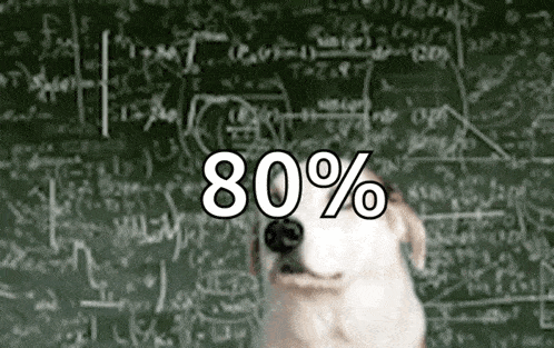 a dog is standing in front of a blackboard with the words 80 % written on it