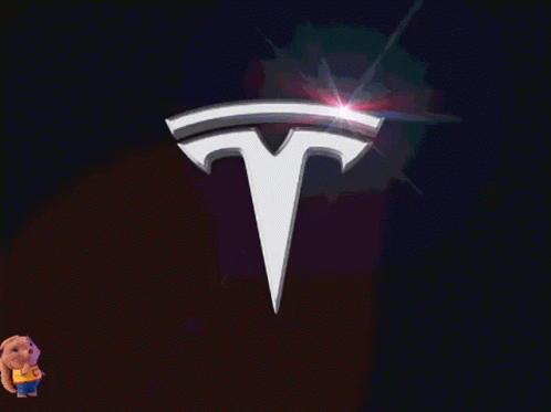 Boo Tesla Tslanew Hogdexter GIF