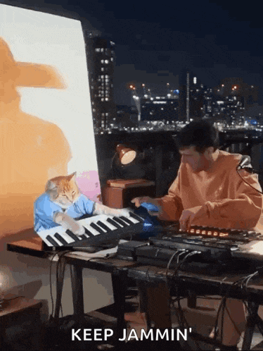 a man is playing a keyboard with a cat sitting on the keyboard