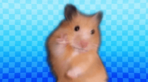 Wangleline Hamster GIF - Wangleline Hamster Silly GIFs