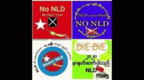 Nld Nld Flag GIF - Nld Nld Flag Usdp GIFs