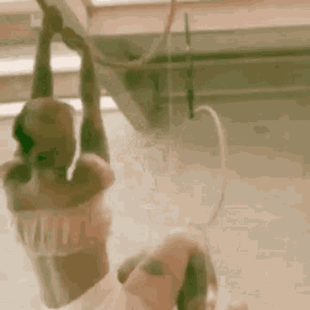 a woman in a pink dress is hanging from a rope in a room .