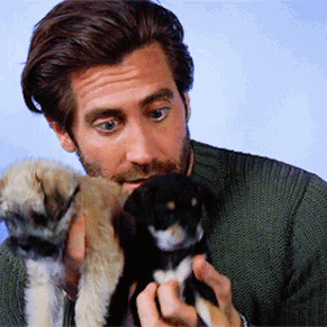 Jake Gyllenhaal Puppies GIF - Jake Gyllenhaal Puppies Wait What GIFs