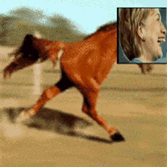 a picture of a horse next to a picture of a woman 's face